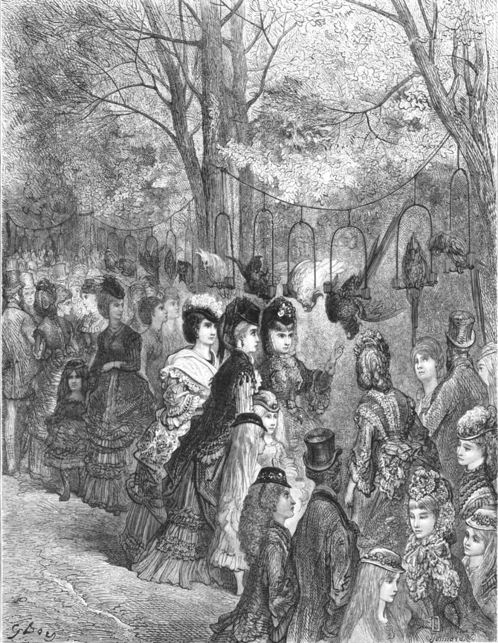 动物园--鹦鹉之路》，1872年。   作者 古斯塔夫·多尔（Gustave Dore）