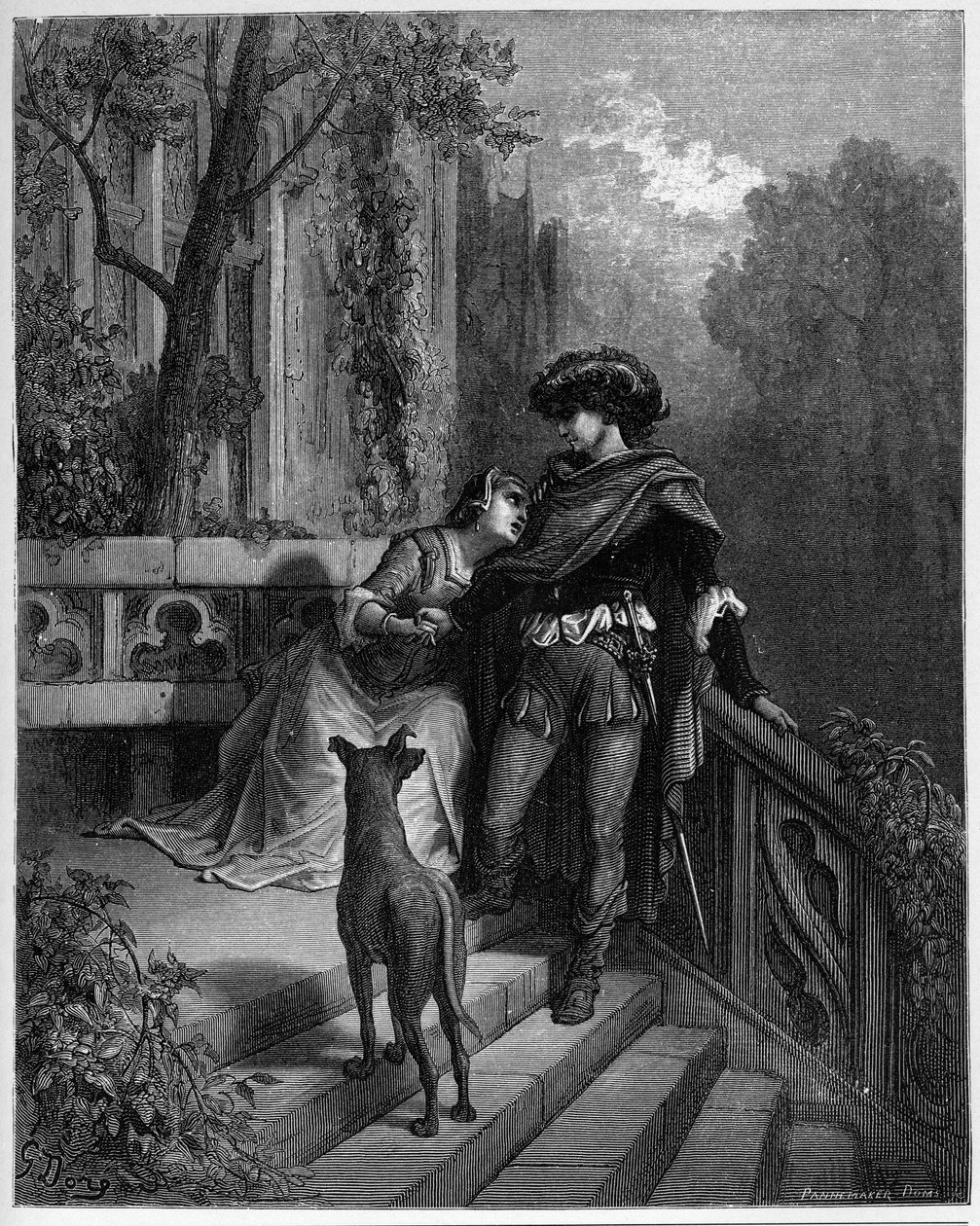 勒·迪乌斯（Le deux）鸽系-赛鸽“让·德拉·方丹”（Jean de La Fontaine）的“寓言”鸽 作者 古斯塔夫·多尔（Gustave Dore）