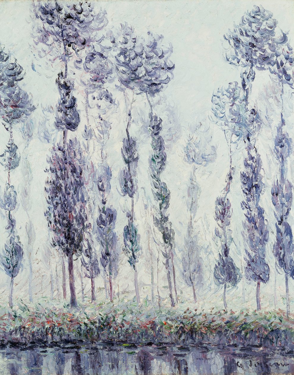 洋杉树，1900年 作者 古斯塔夫·洛索（Gustave Loiseau）
