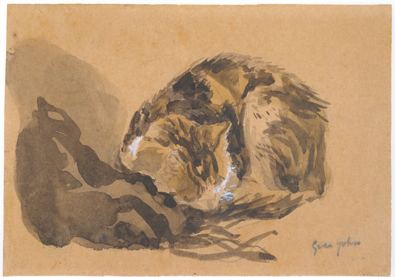 一只猫的研究，1905-08 作者 格温·约翰