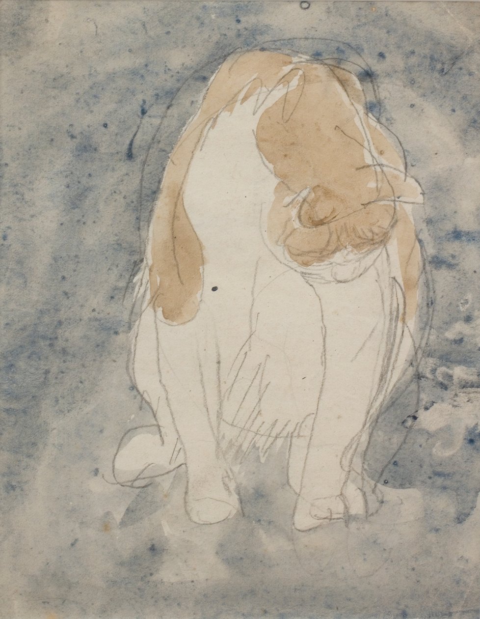 猫的研究，约 1910-20 年（纸上水彩和石墨铅笔） 作者 格温·约翰