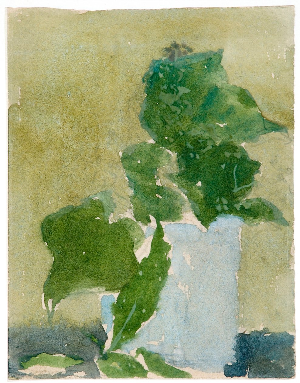 山谷中的百合花》，1896-1939年 作者 格温多琳·玛丽·约翰