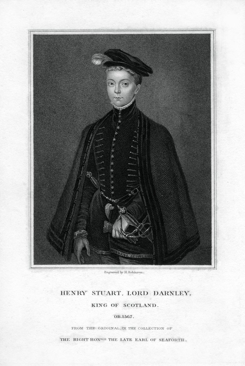 亨利·斯图尔特（Henry Stuart），达恩利勋爵（Lord Darnley），苏格兰女王玛丽（Mary）的第二任丈夫，十九世纪。 作者 鲁宾逊