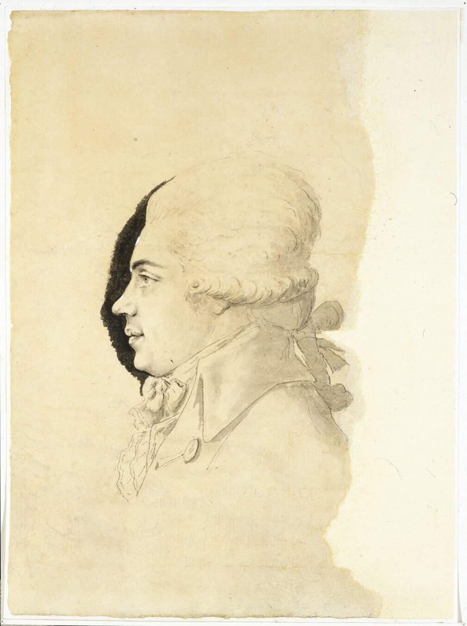 尼古拉-彼得罗维奇-鲁米扬采夫伯爵的肖像 1754-1826年，1780年代末 作者 锄