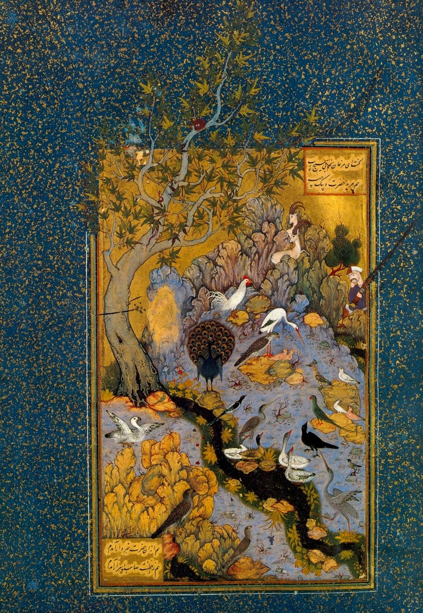 Mantiq al-Tayr的对开本 《鸟的语言》，阿塔尔著，约1600年。   作者 哈比卜真主