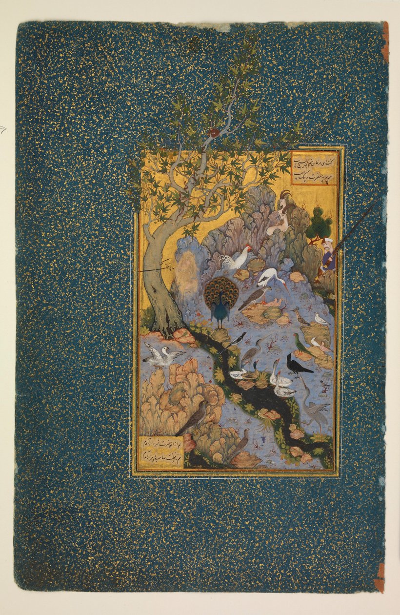 Mantiq al-tair 作者 哈比布拉·米切迪（Habibulla Meshedi）