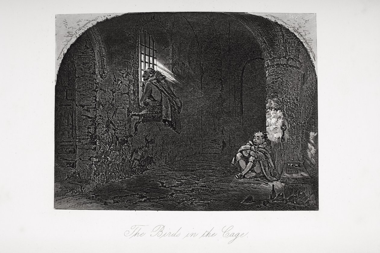“笼中的鸟”，查尔斯·狄更斯（1812-70）的“小多利特”插图首次出版于1857年 作者 Hablot骑士布朗