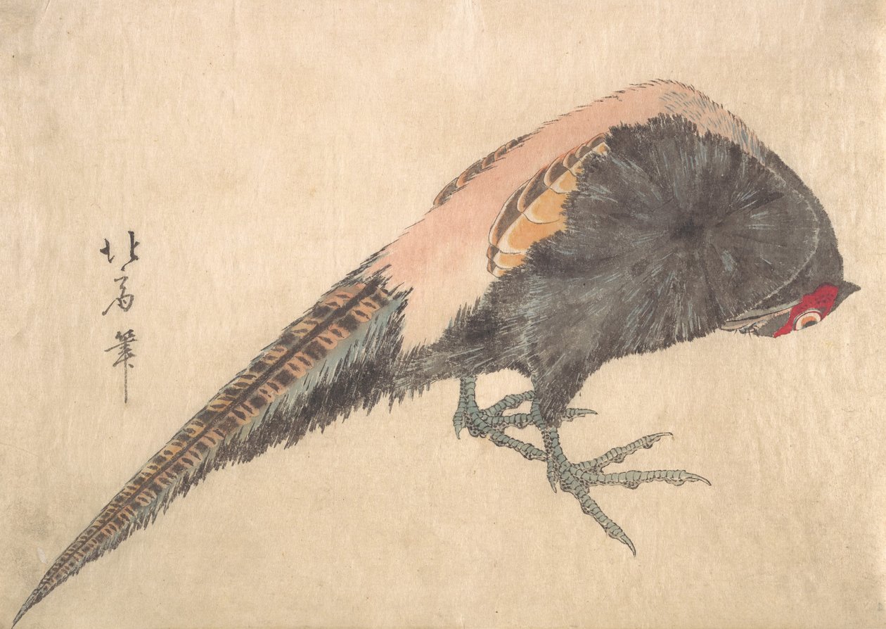 鸟，1830年代。 作者 白山神北井