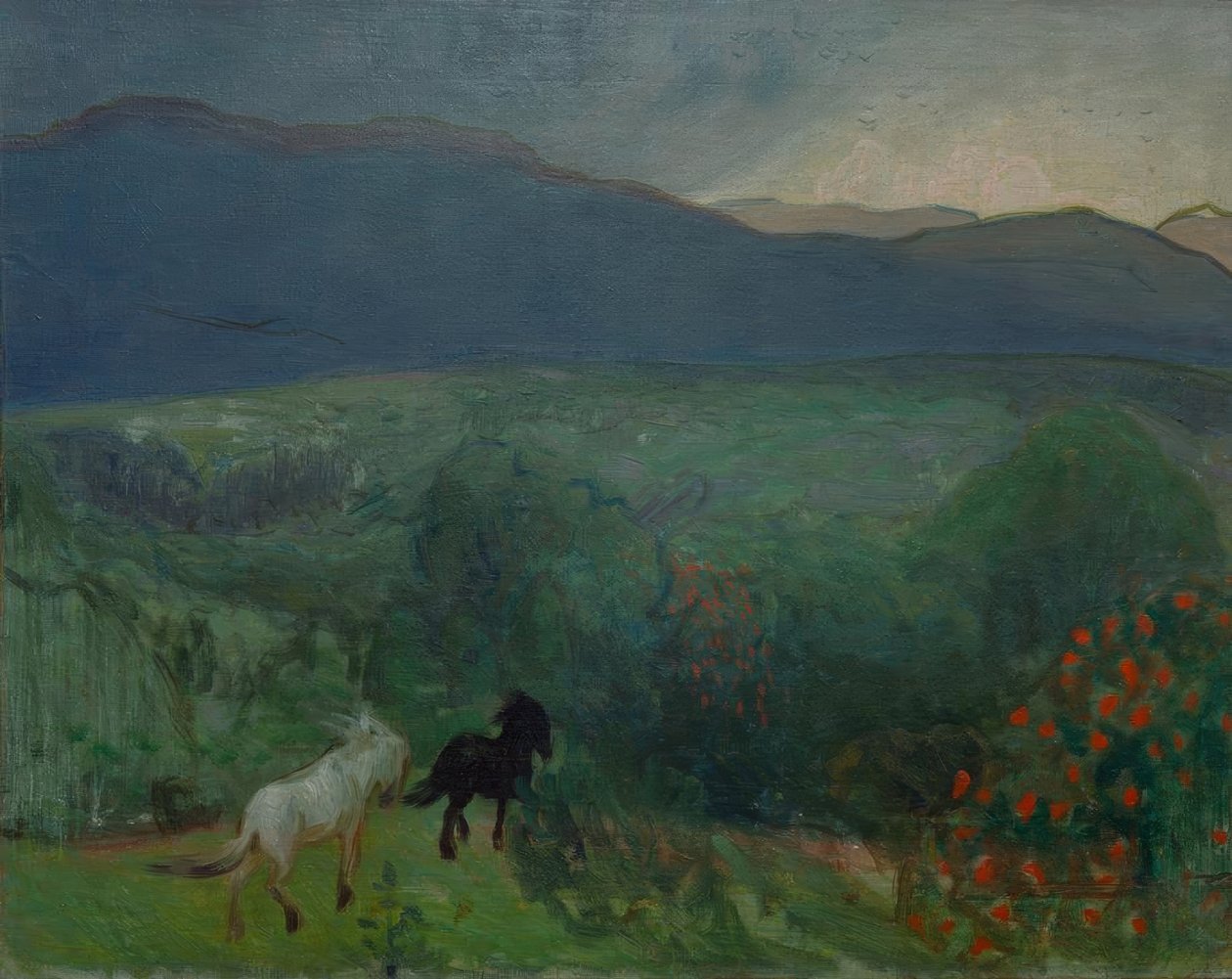 暴风雨，Telemark 作者 哈夫丹·埃吉迪乌斯