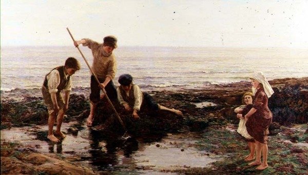 虾类 作者 汉密尔顿·麦卡勒姆（Hamilton Macallum）