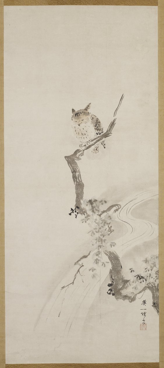 一只猫头鹰栖息在树上，c。 1710 作者 花房伊藤