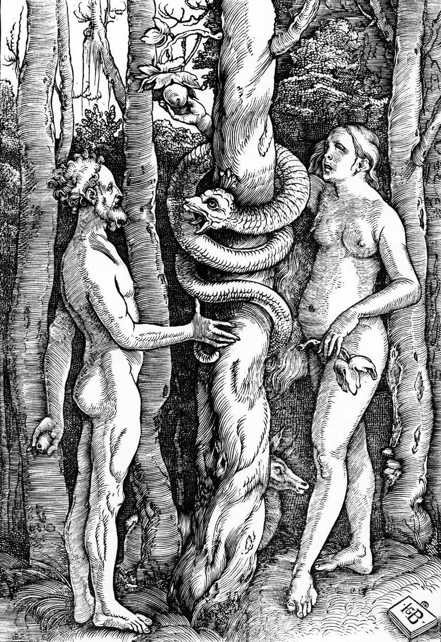 人类的堕落，1514年 作者 汉斯·巴尔登·格里恩