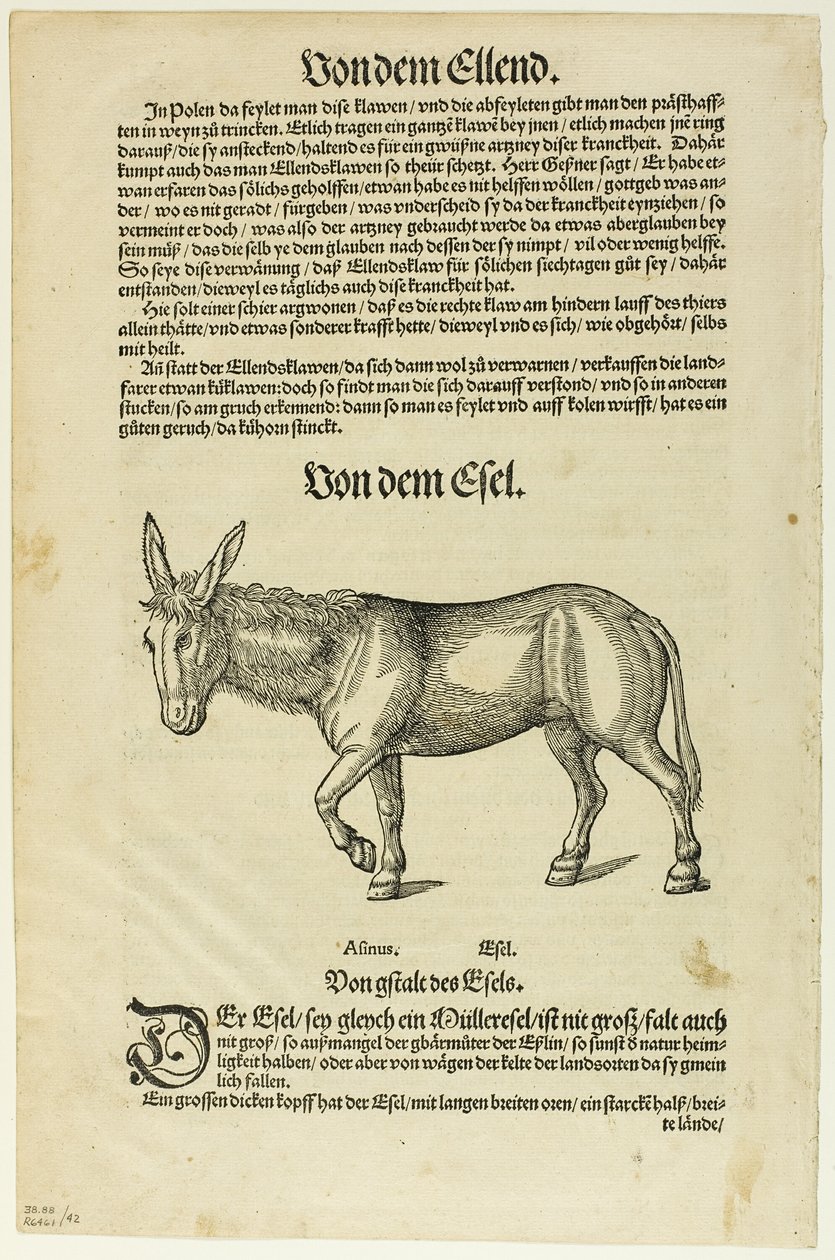 插图选自 "Thierbuch"，图版 42 选自 XVI 世纪书籍中的木刻作品 作者 汉斯·阿斯珀