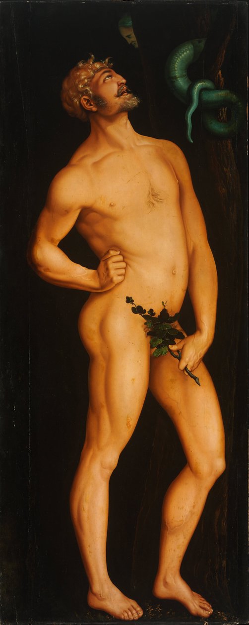 亚当--汉斯-巴尔东（1484-1545）的画作--1525-1526--木板油画--208.5x83.5--匈牙利布达佩斯Szepmuveszeti博物馆。 作者 汉斯·巴尔登·格里恩