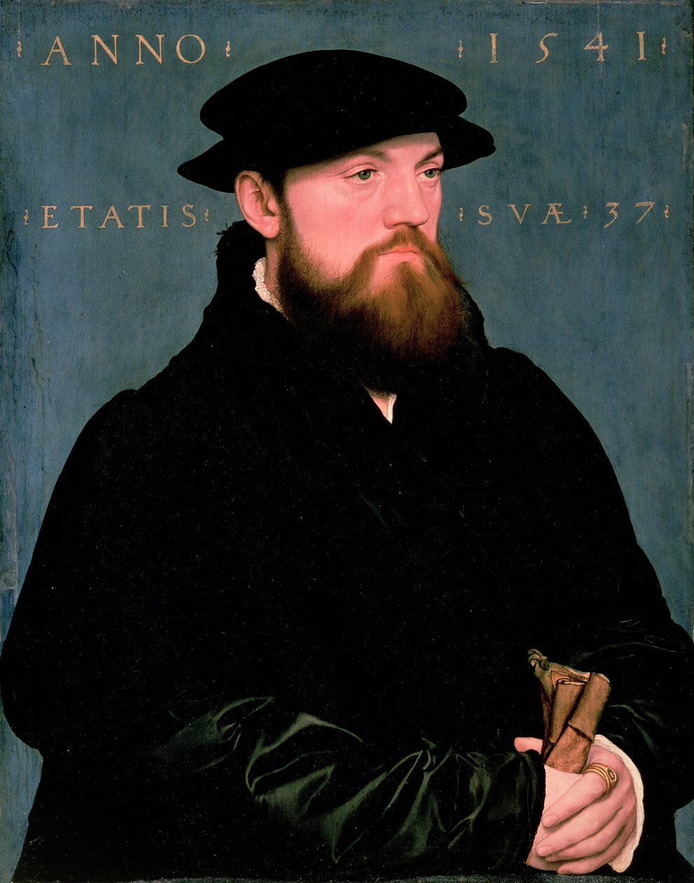 De Vos Van Steenwijk 作者 小汉斯·霍尔拜因