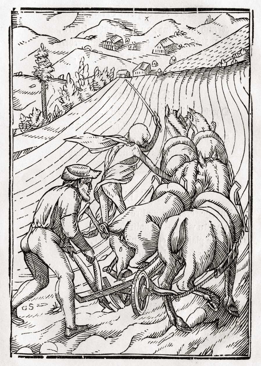 1843年巴塞尔出版的“Der Todten Tanz”中由Georg Scharffenberg雕刻的农民或丈夫死亡。 作者 小汉斯·霍尔拜因