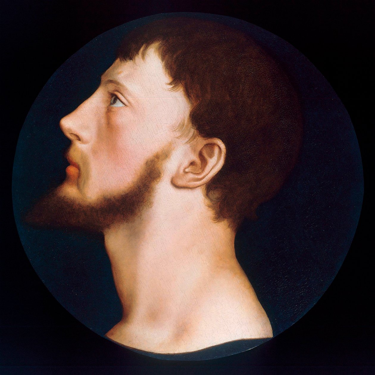 Thomas Wyatt the Younger的肖像，c.1541 作者 小汉斯·霍尔拜因