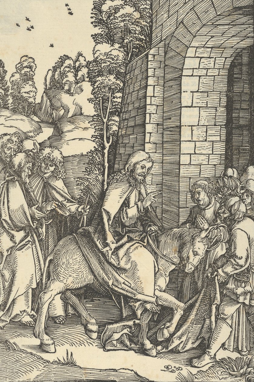进入耶路撒冷，来自Speculum passionis domini nostri Ihesu Christi，1507。 作者 Hans Schäufelein the Elder