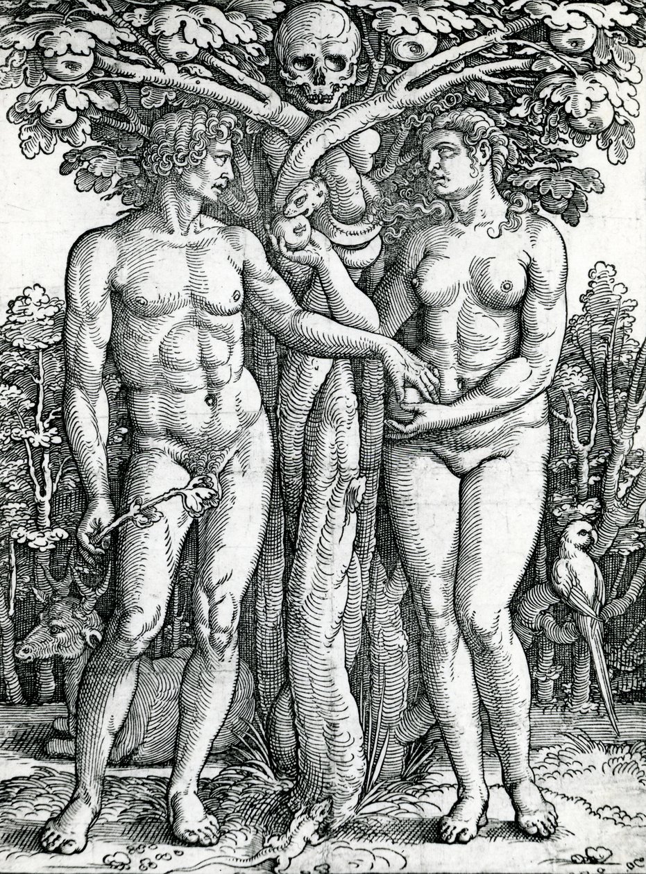 亚当和夏娃的堕落，1525-27（木刻） 作者 汉斯·塞巴尔德·贝汉姆