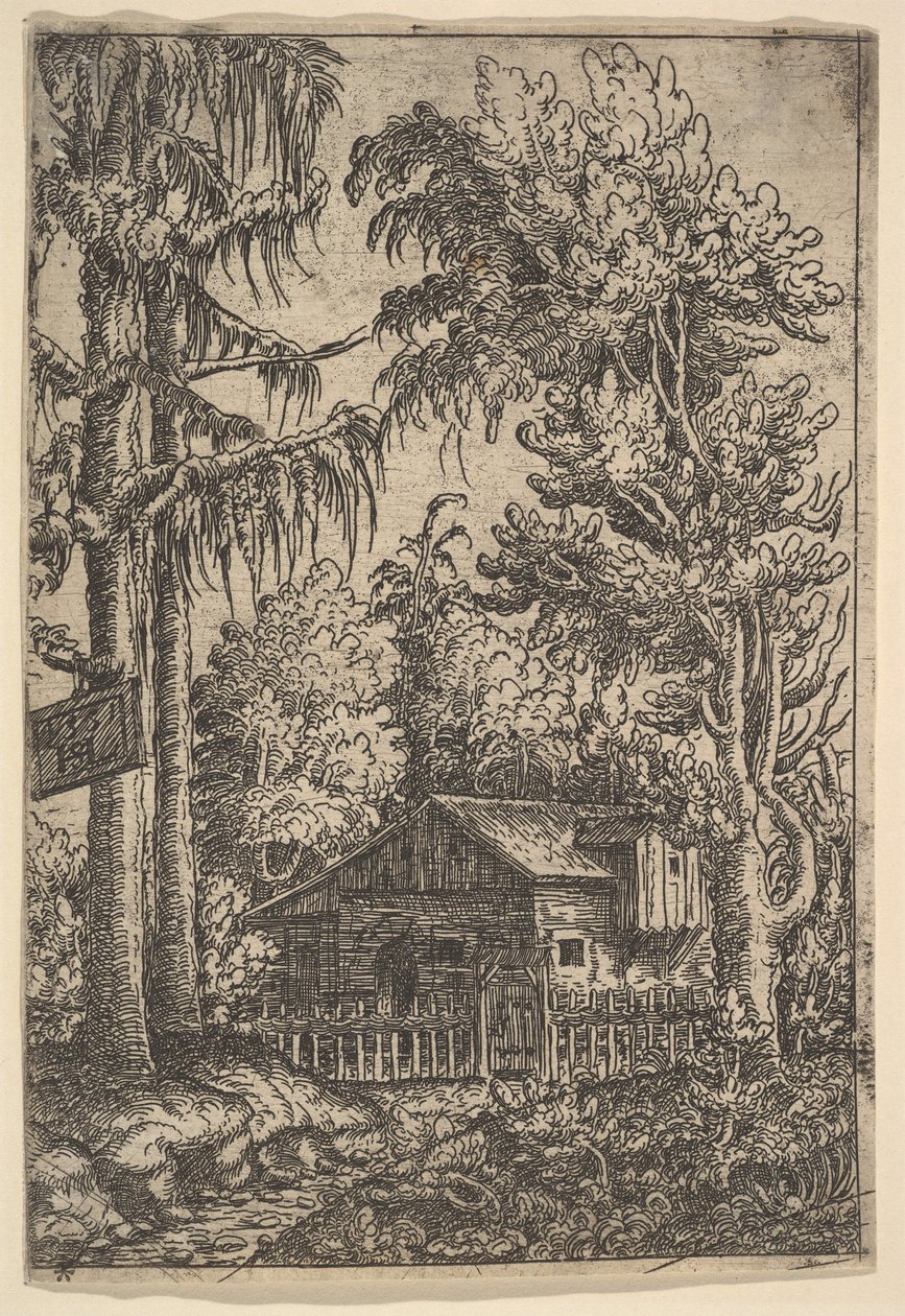 树间小屋，1551。 作者 汉斯·塞巴尔德·劳滕萨克