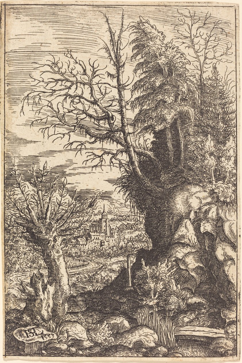 带有柳树的风景，1553年。 作者 汉斯·塞巴尔德·劳滕萨克