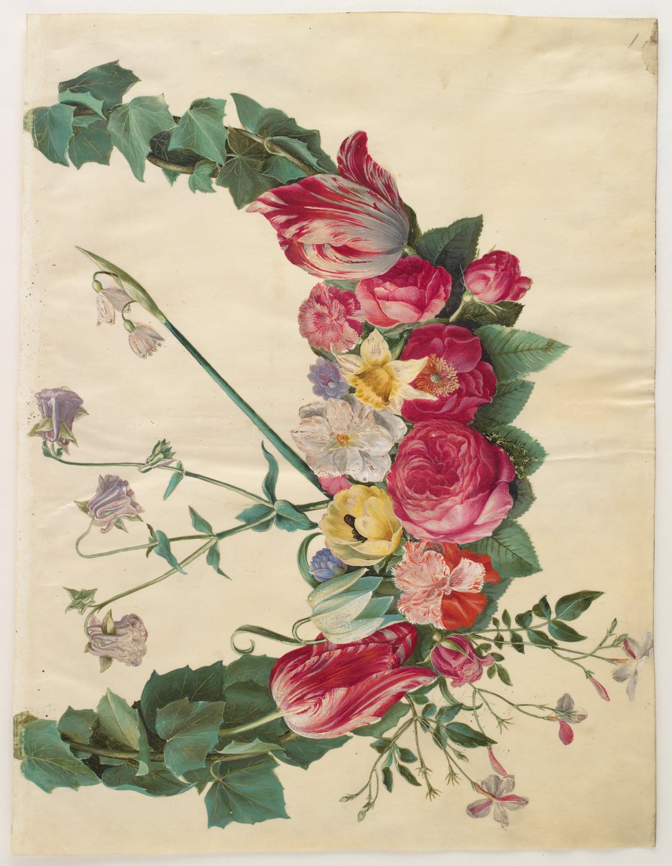 来自专辑Gottorfer Codex的花花环，c.1650（羊皮纸上的水粉） 作者 汉斯·西蒙·霍尔茨贝彻