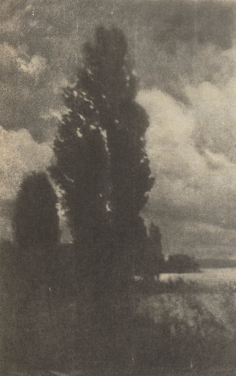 相机作品。杨树和云，1906年。 作者 汉斯·瓦泽克
