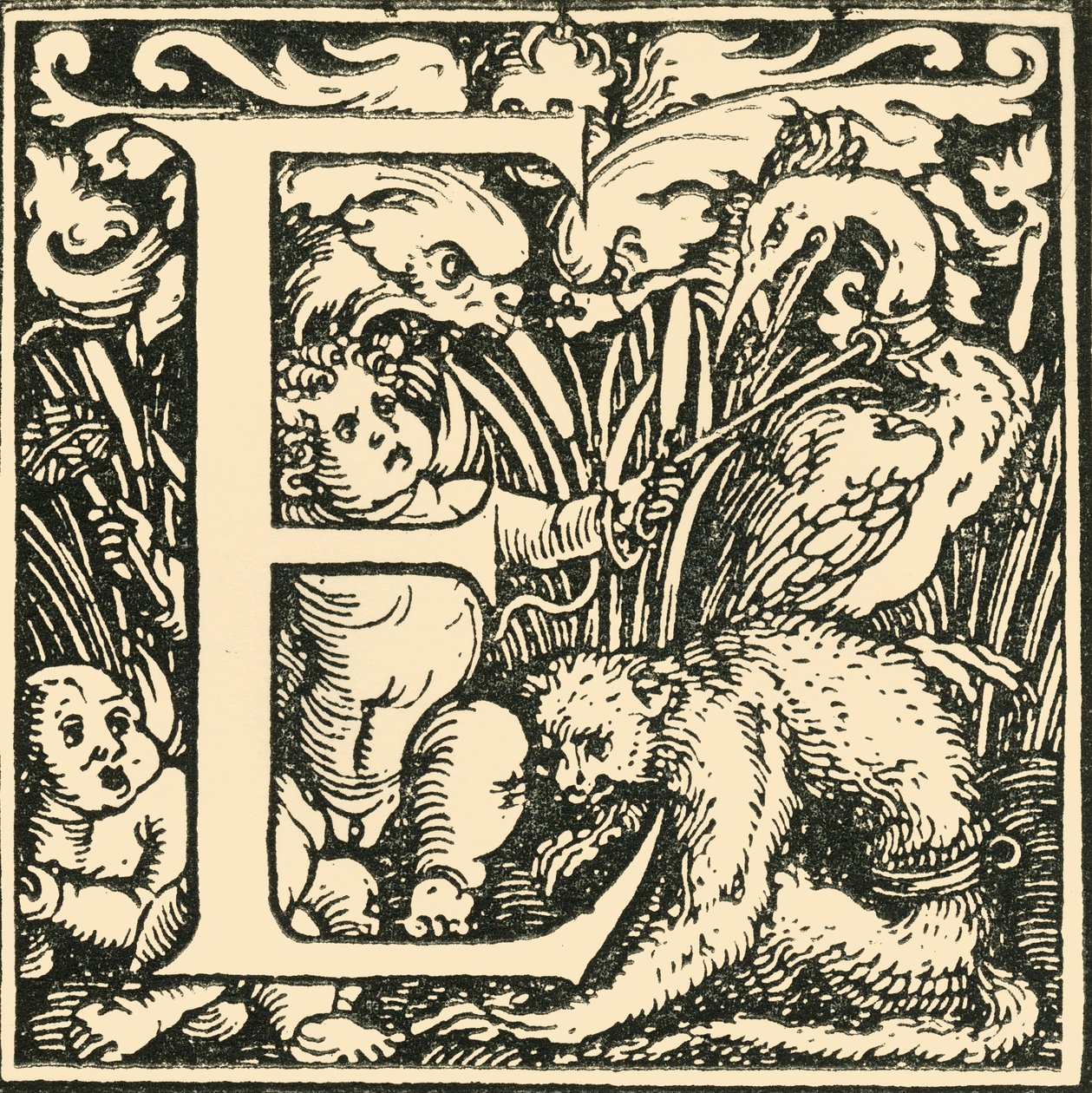 E-汉斯·魏德兹（Hans Weiditz）的字母，c1520-1521，1908年。 作者 汉斯·魏迪兹