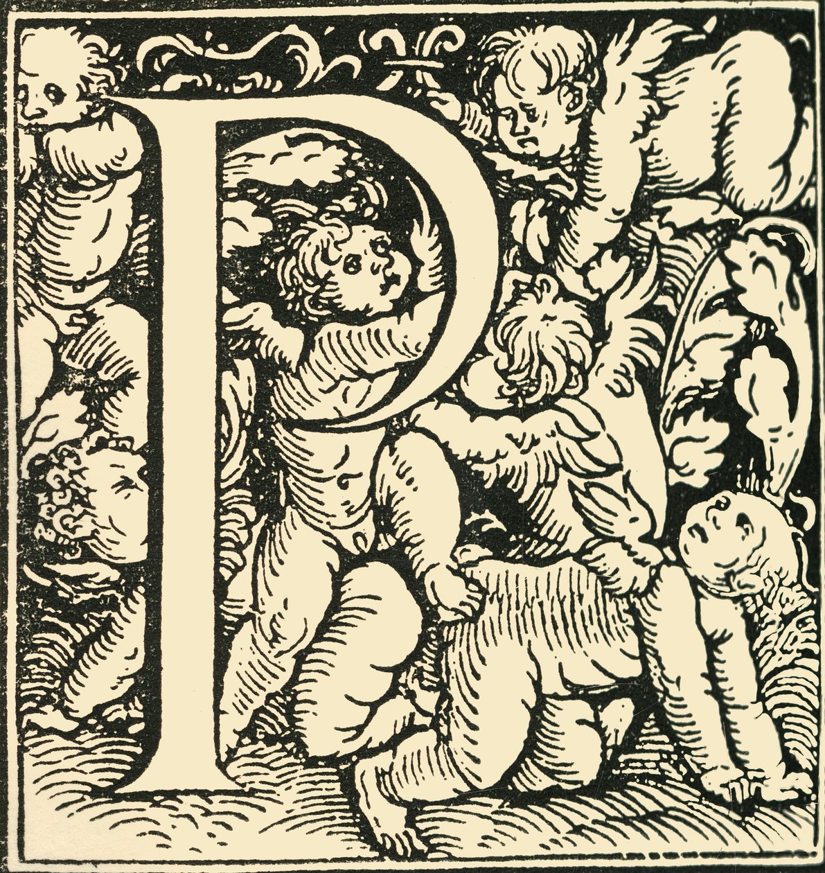 P-汉斯·魏德兹（Hans Weiditz）的字母，c1520-1521，1908年。 作者 汉斯·魏迪兹