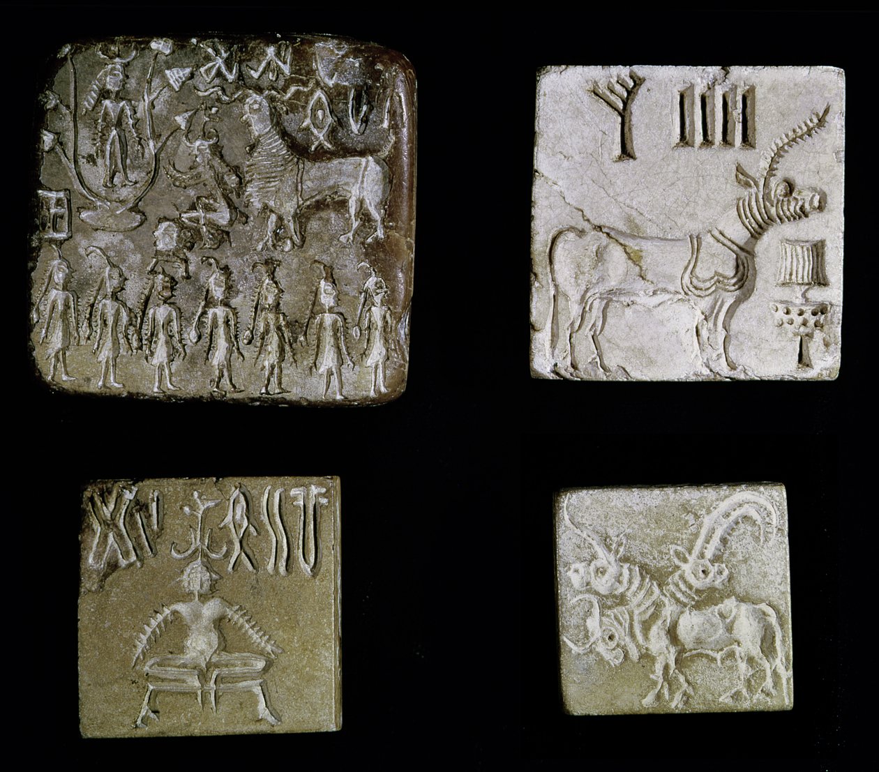 描绘神话动物的四个印章，来自Mohenjo-Daro，印度河谷，巴基斯坦，公元前3000-1500 作者 哈拉潘