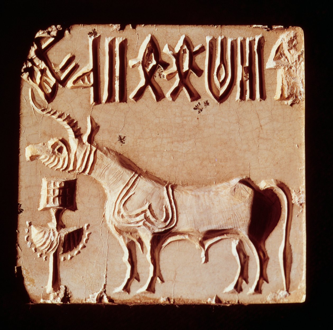 封印描绘了神话中的动物和象形符号，来自Mohenjo-Daro，印度河流域，巴基斯坦，公元前3000  -  1500年 作者 哈拉潘