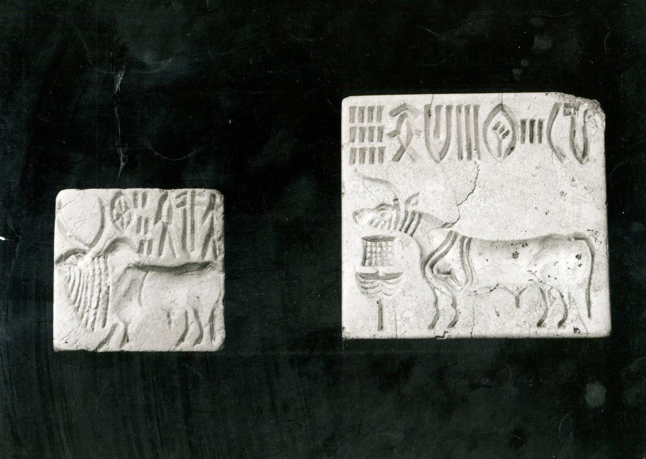 两个装饰的海豹描绘了一个瘤牛和一头公牛，来自Mohenjodaro，Protohistoric 作者 哈拉潘