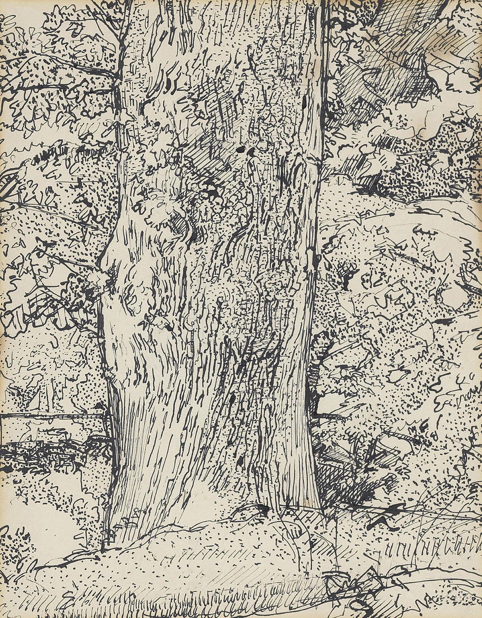 树，1916年 作者 哈罗德·吉尔曼