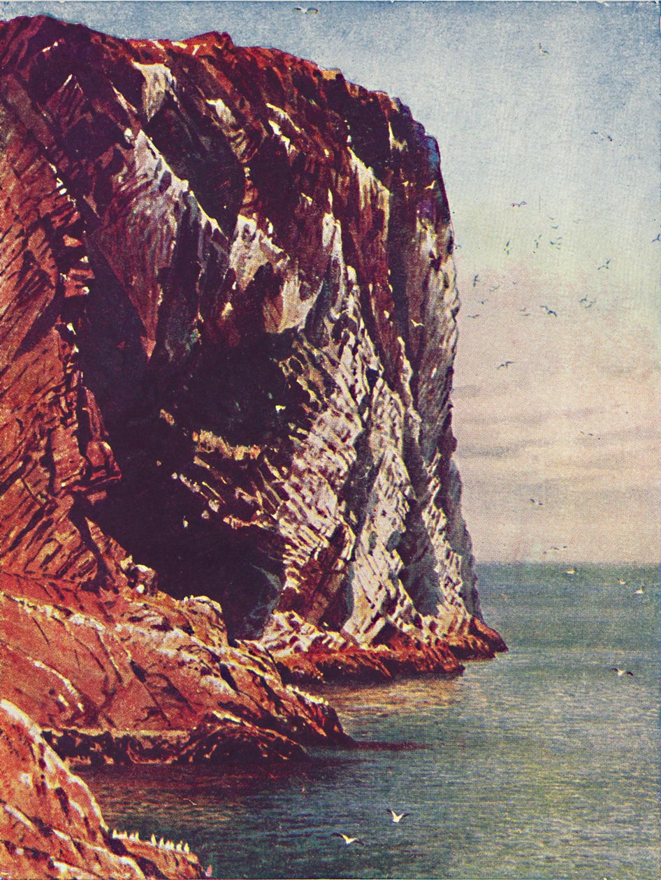 低音摇滚，1910年 作者 哈罗德·萨顿·帕尔默