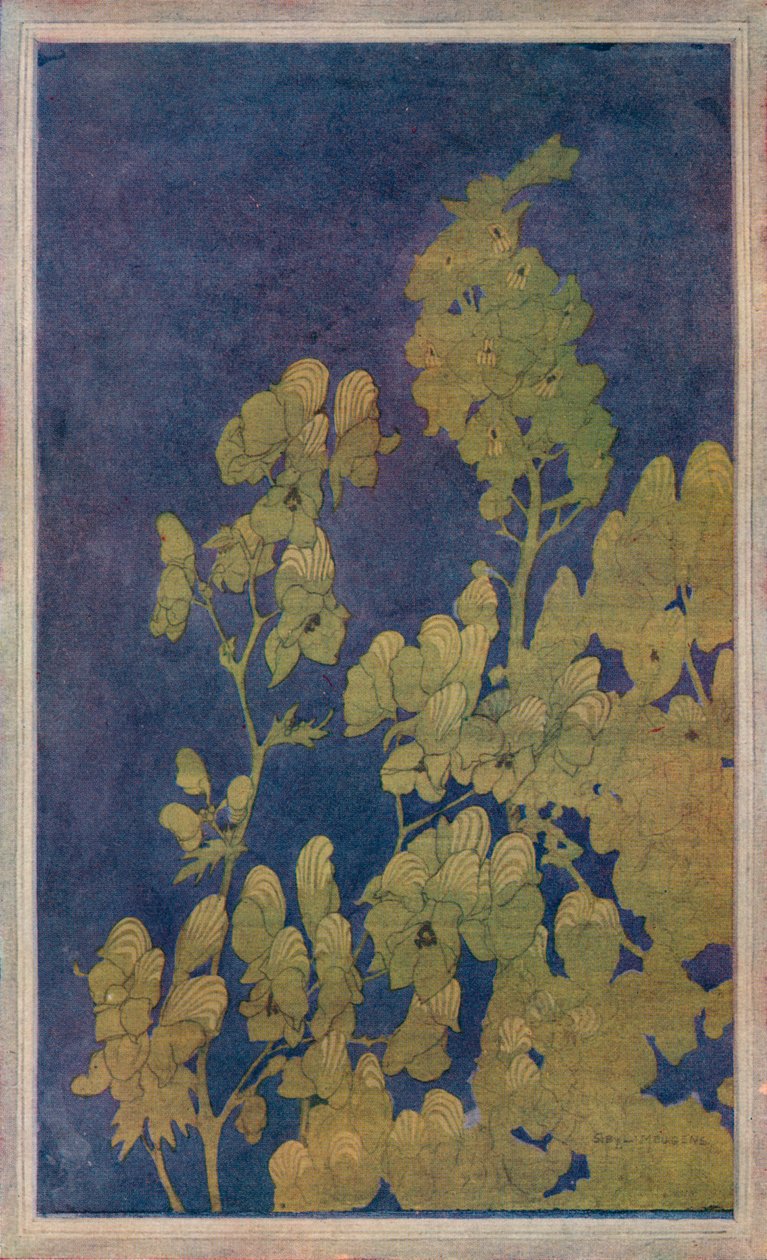 蒙克斯·霍德（Monks-Hood），c1922年 作者 哈丽特·西比尔·梅根（Harriet Sibyl Meugen）