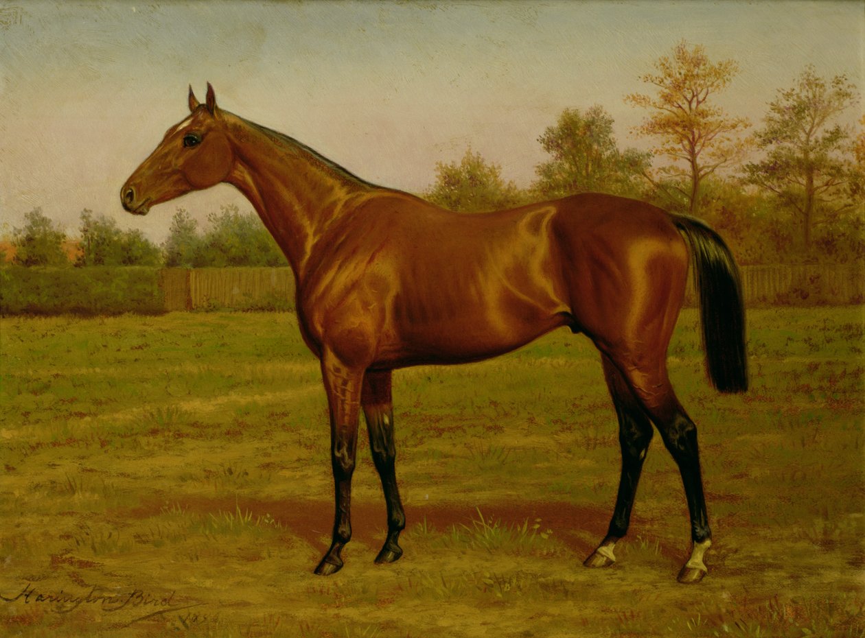 Isinglass，Triple Crown，1893 作者 哈灵顿鸟