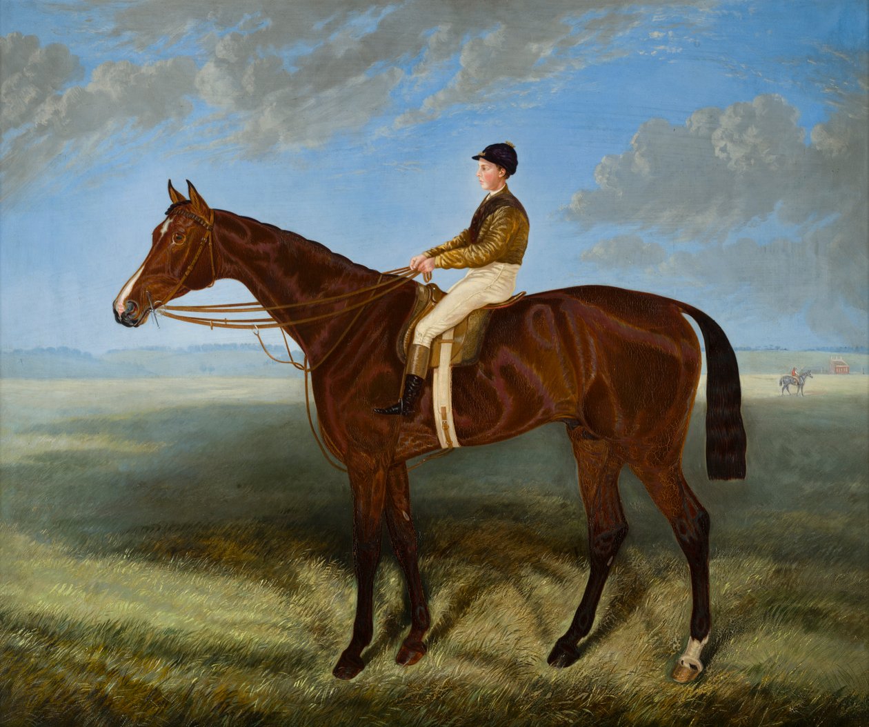Salpinctes - 赛马，c.1814-82（布面油画） 作者 哈利（后）霍尔