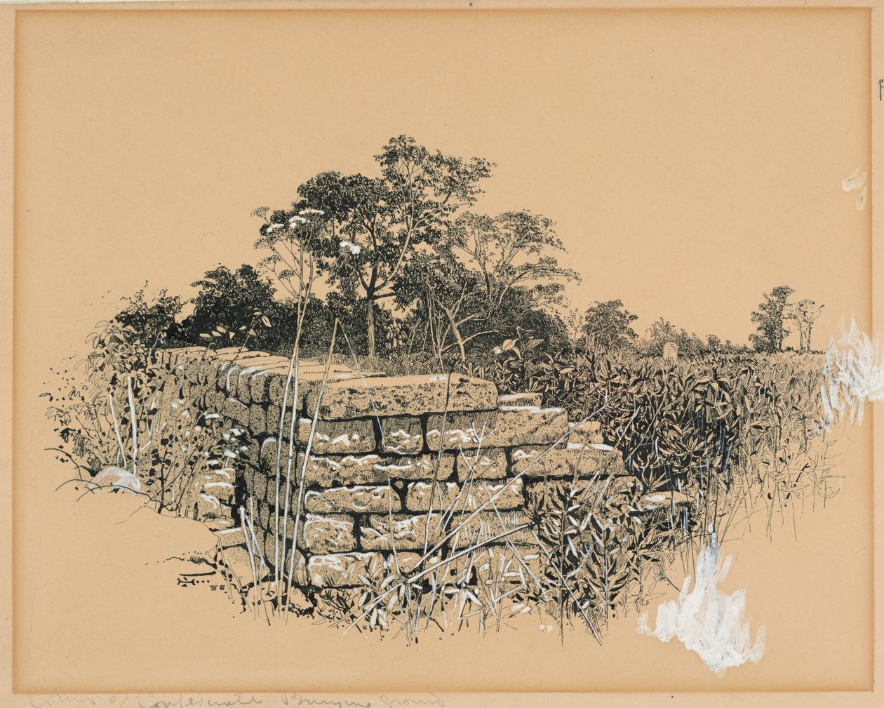 邦联墓地一角 作者 哈里·芬恩