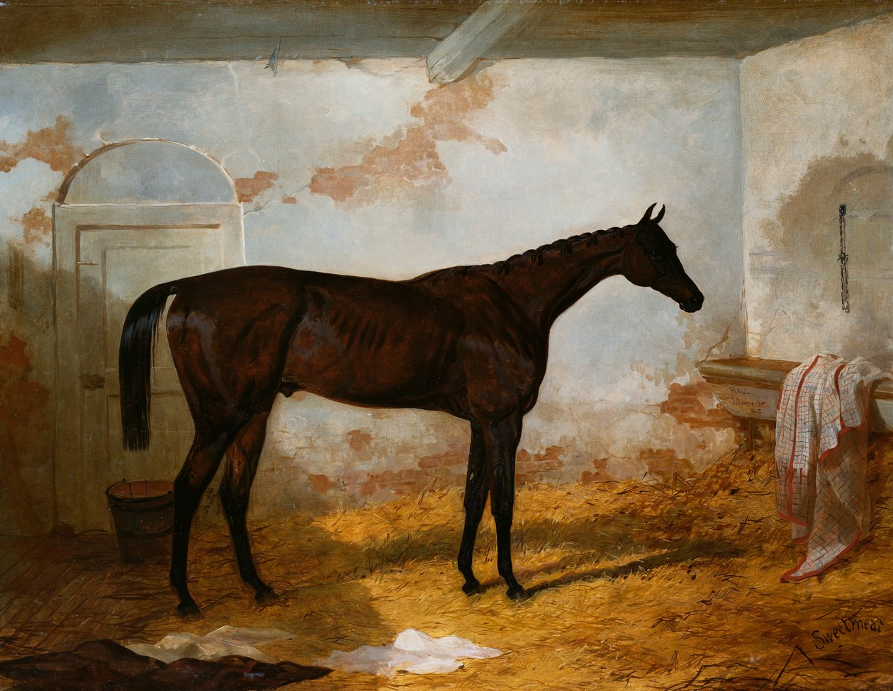 AW Hill先生的宽松箱子中的Bay Colt“甜食”，1845年 作者 哈里·霍尔