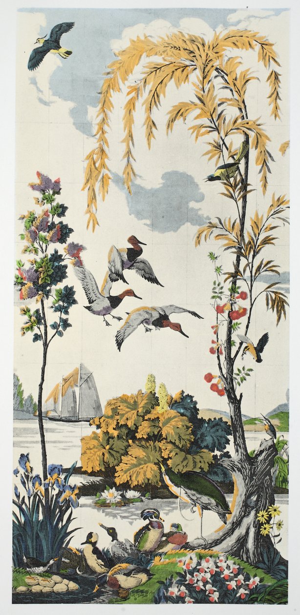 Magnum Opus：Canvasbacks，pub。 1933年 作者 哈里·韦恩