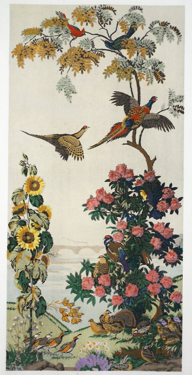 Magnum Opus：Pheasants，pub。 1933年 作者 哈里·韦恩