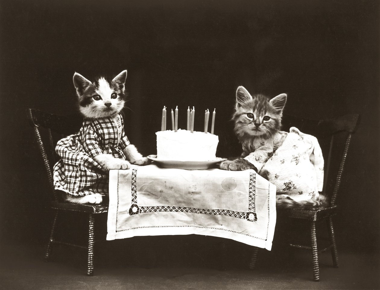 小猫系列：生日派对，约 1914 年（银质印刷品） 作者 哈里·惠蒂尔·弗里斯