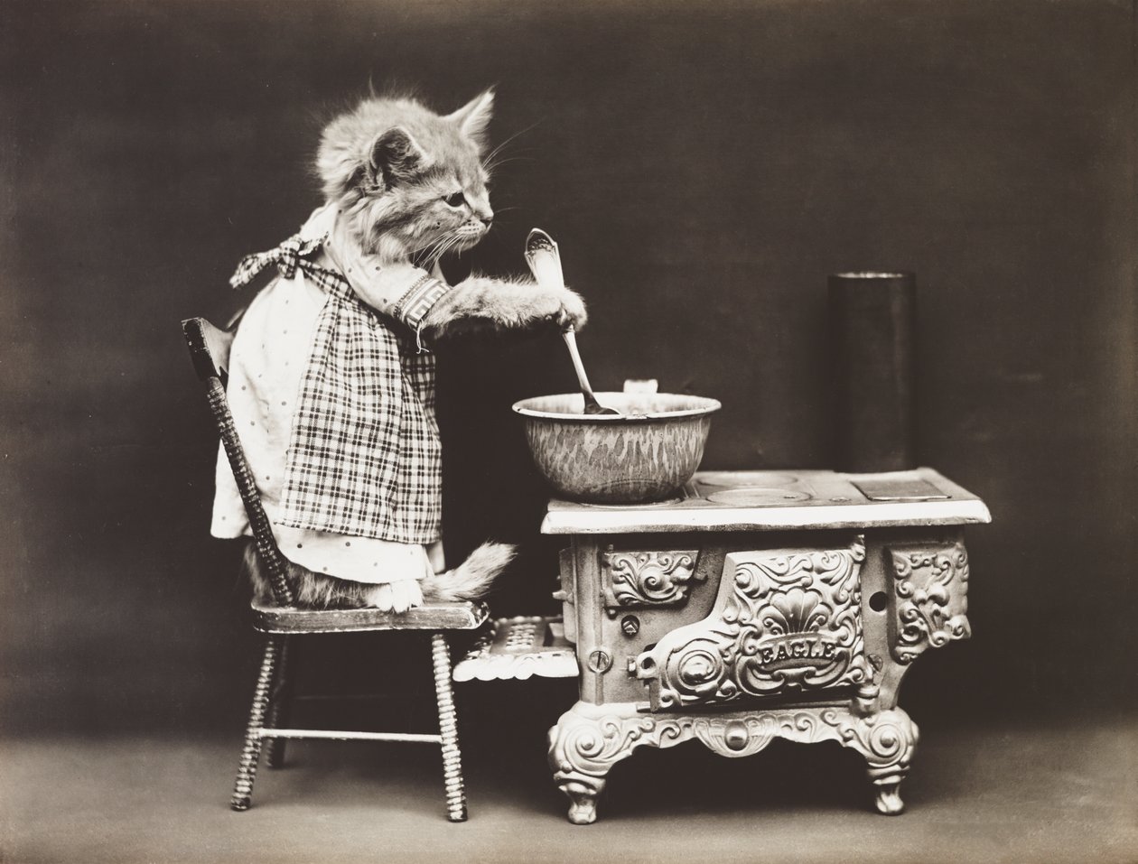 小猫系列：炉边的厨师，约 1914 年（银质印刷品） 作者 哈里·惠蒂尔·弗里斯