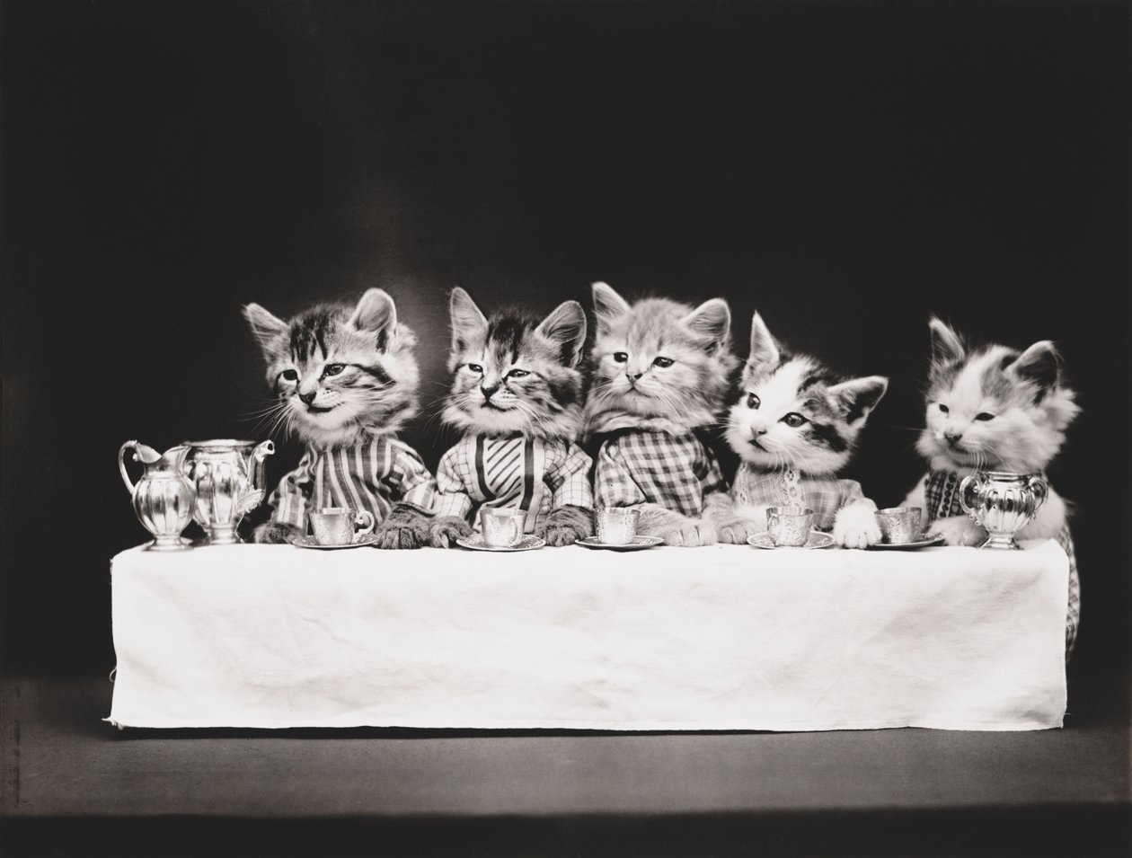 小猫系列最后的晚餐》，约 1914 年（银质印刷品） 作者 哈里·惠蒂尔·弗里斯