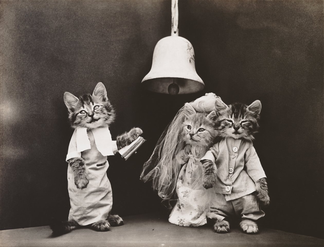小猫系列：婚礼，约 1914 年（银质印刷品） 作者 哈里·惠蒂尔·弗里斯