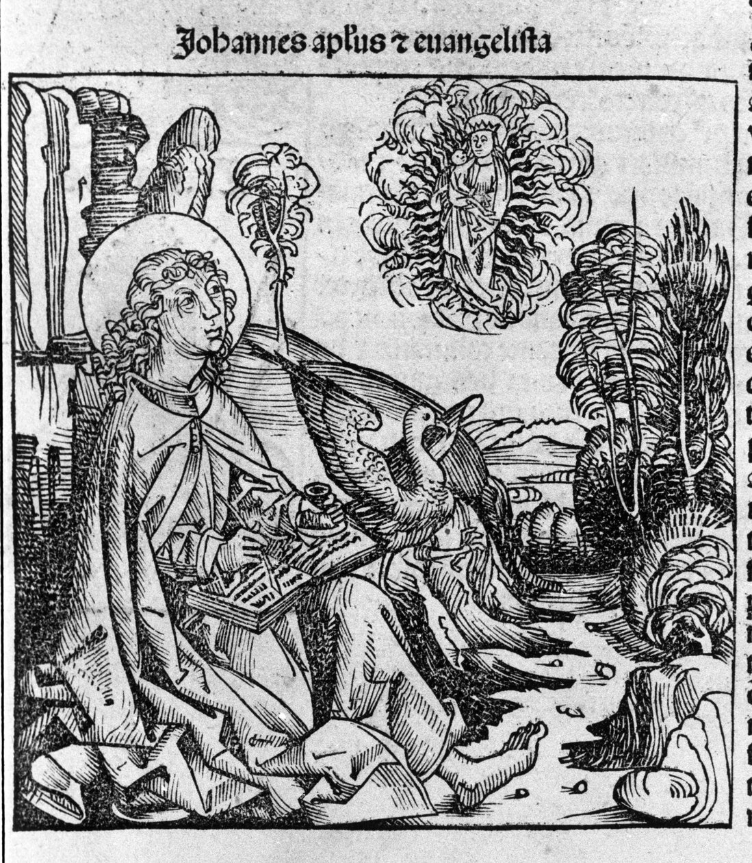福音传教士圣约翰的代表。 Hartmann Schedel 1493 年雕刻的“Liberchronarum”（纽伦堡编年史） 作者 哈特曼·谢德尔（Hartmann Schedel）