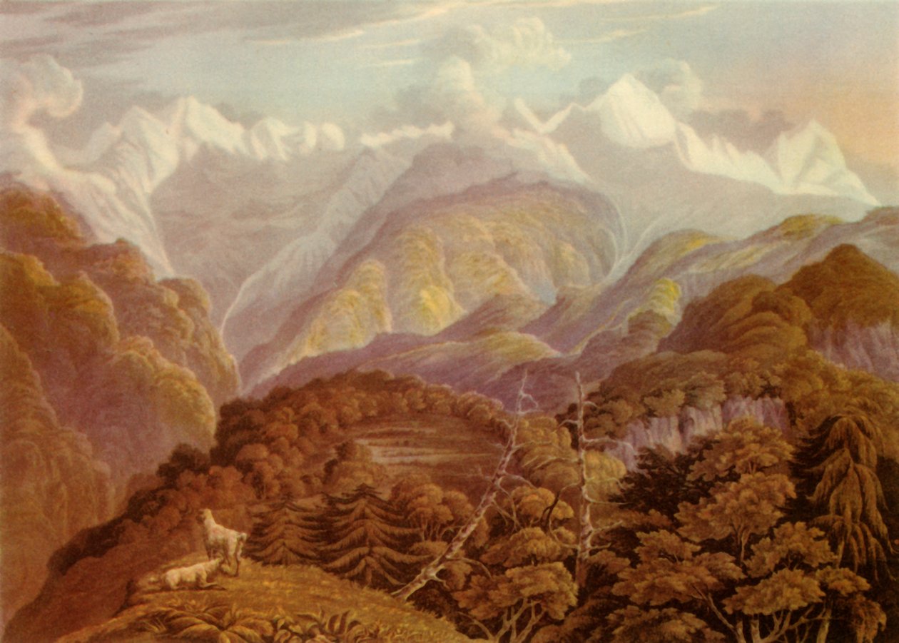 朱姆纳河谷显示布德庞克的两个大山峰》，1946年 作者 哈维尔和儿子