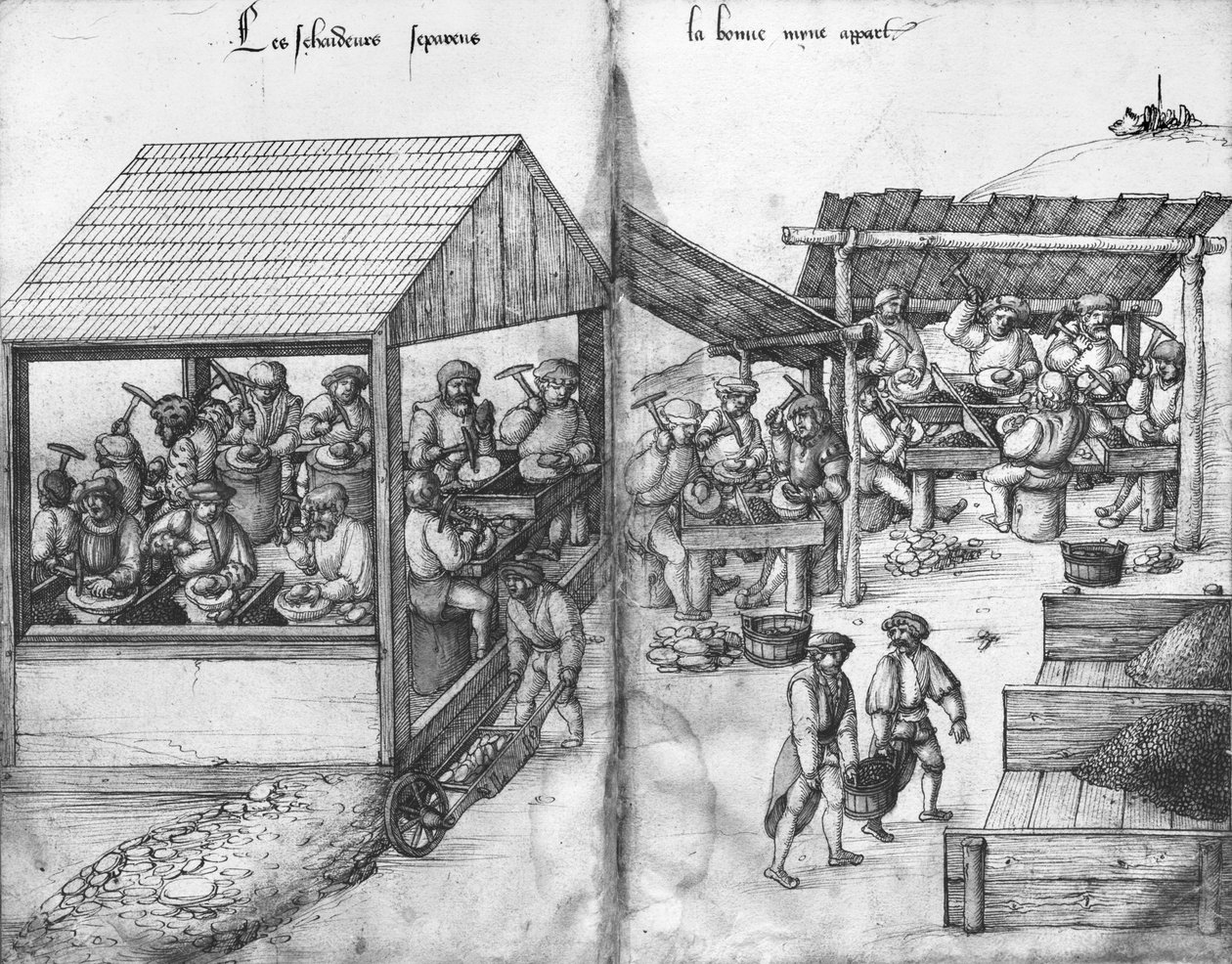 La Croix-aux-Mines的银矿，Lorraine，fol.15v和fol.16r，矿工将矿石分类出来，c.1530（笔和墨水在纸上） 作者 海因里希·格罗斯或格罗夫