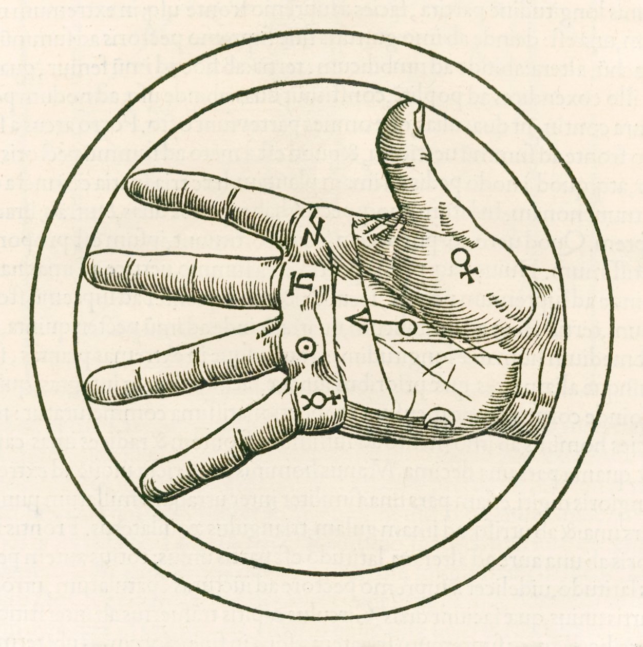Heinrich Cornelius Agrippa von Nettesheim（1486-1535）De Museulta philosophia libri tres（Three Books of Occult Philosophy）于1533年出版。 作者 内特斯海姆的海因里希·科尼利厄斯·阿格里帕