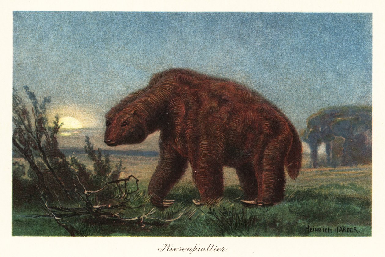 月光下的 Megatherium americanum。 作者 亨利·哈德